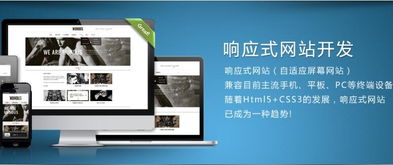 厦门网站建设公司网站制作效果怎么样